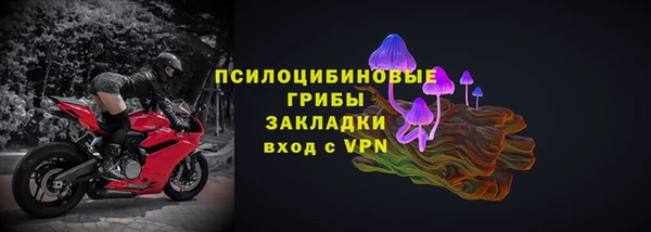 дживик Липки