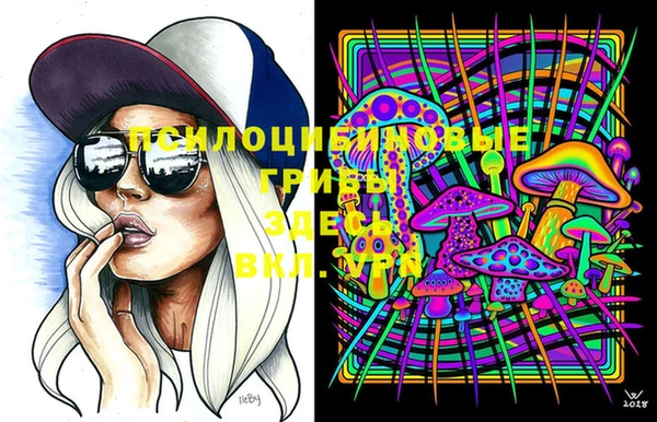 Альфа ПВП Лагань
