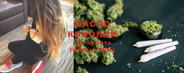 мдпв Краснослободск