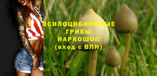 эйфоретик Лихославль