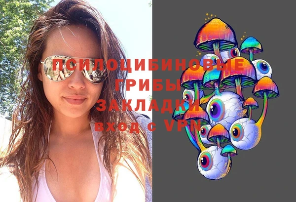 гашик Куйбышев