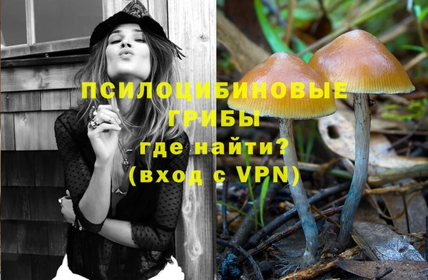 Альфа ПВП Лагань