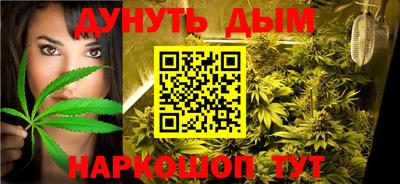 прущие крисы Гай