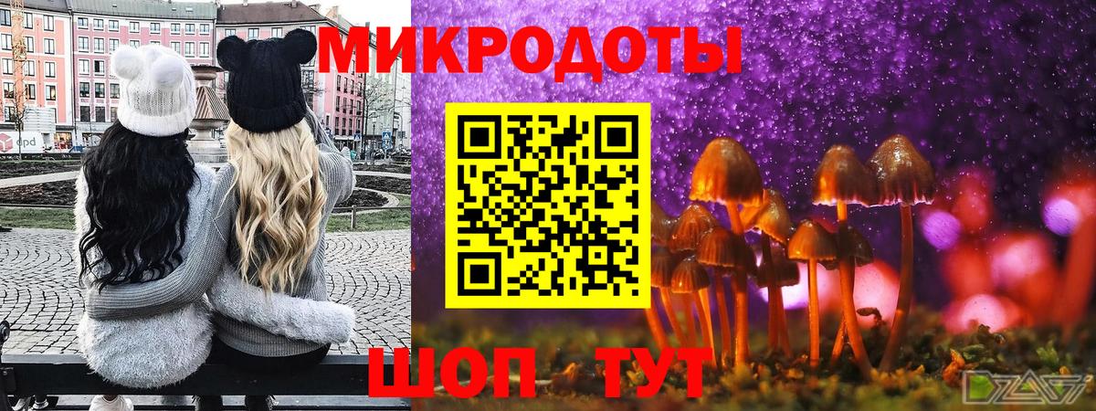 Галлюциногенные грибы Psilocybe Лосино-Петровский