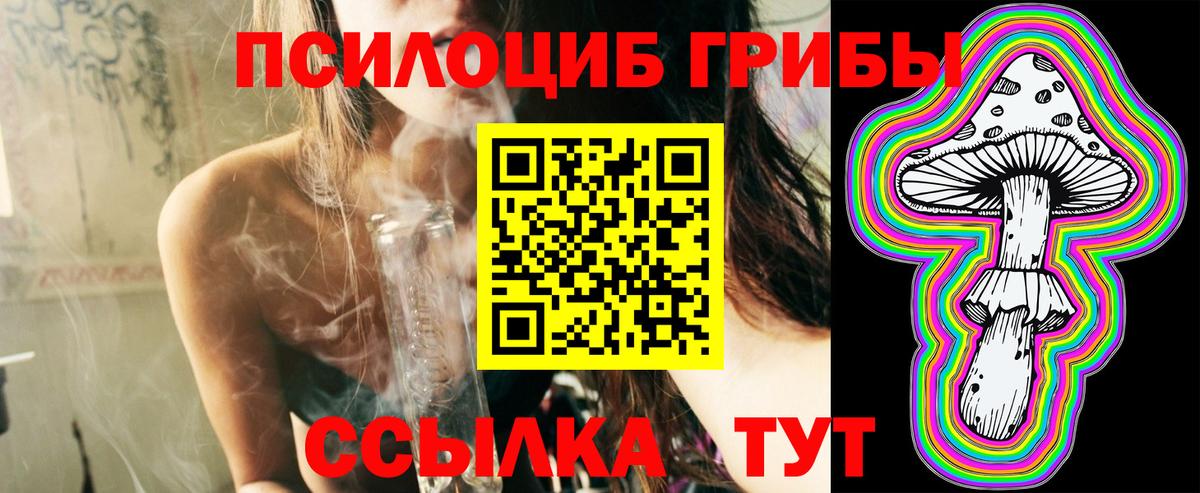 Лосино-Петровский  Галлюциногенные грибы Cubensis  Вход с VPN 