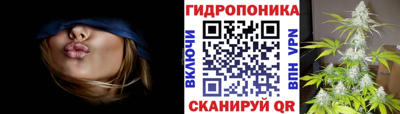 МАРИХУАНА гибрид  дарк нет какой сайт  Лосино-Петровский 
